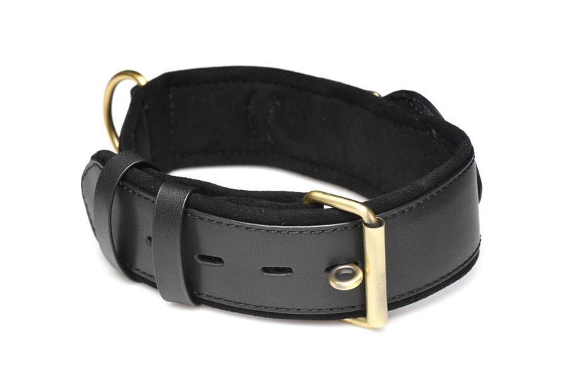 Tracer - Sporingshalsbånd - Tracking Collar