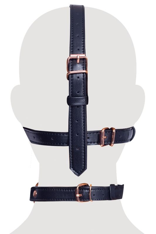 Hode harness med Gag