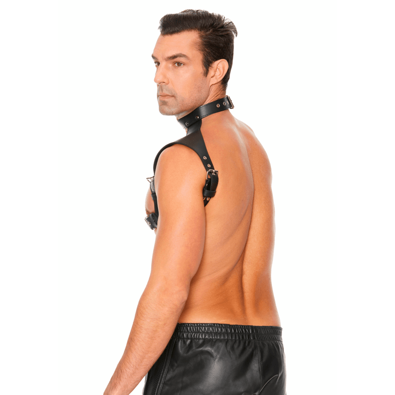 Harness med Collar - One Size