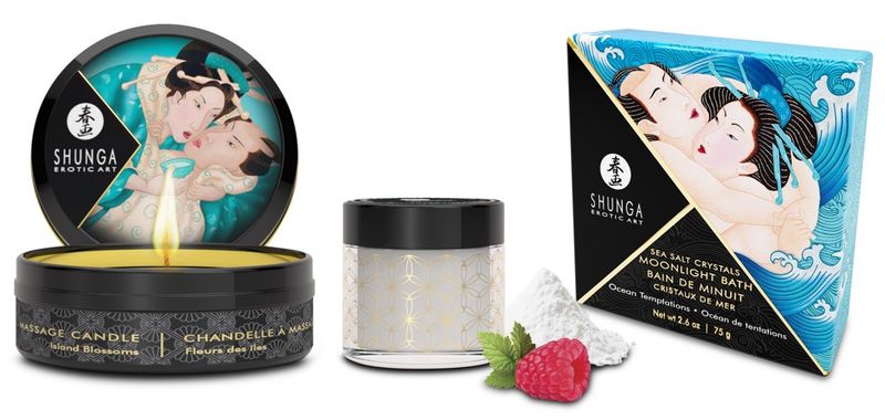 adventskalender 2025 - Calendar of Desires - shunga